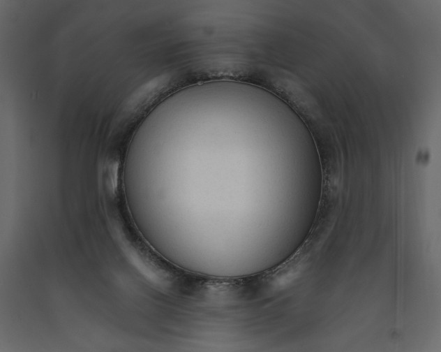 X0000090920070200708271033