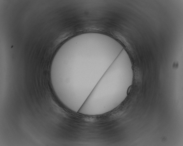 X0000090920071200708271033