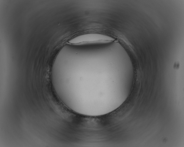 X0000090920073200708271033