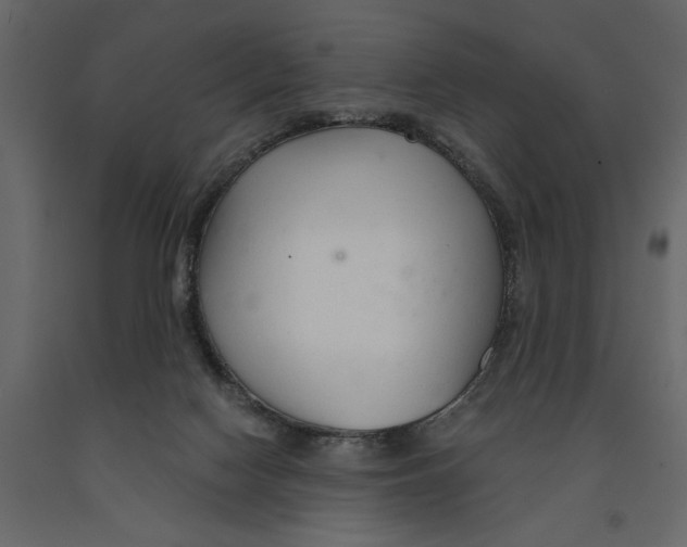 X0000090920074200708271033