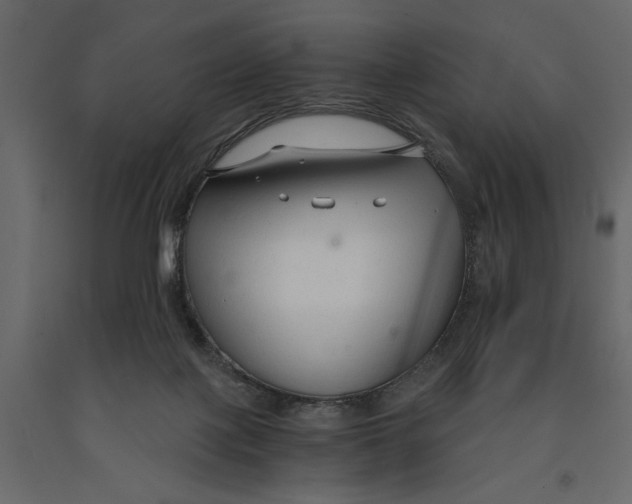 X0000090920075200708271033