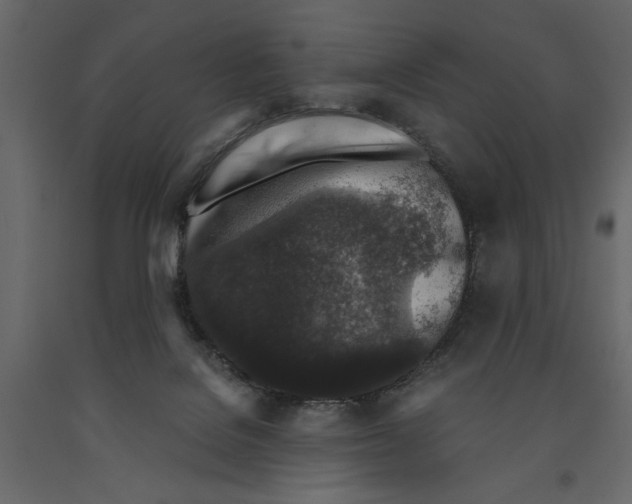 X0000090920076200708271033