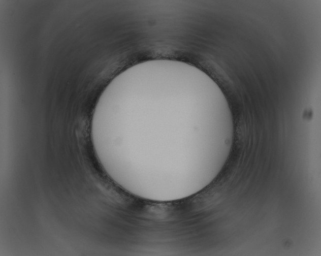 X0000090920079200708271033