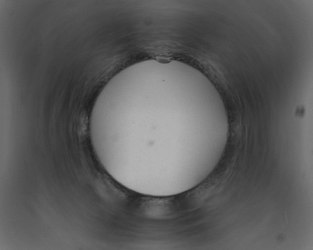 X0000090920081200708271033