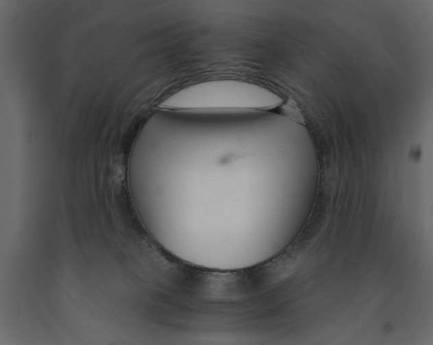 X0000090920085200708271033