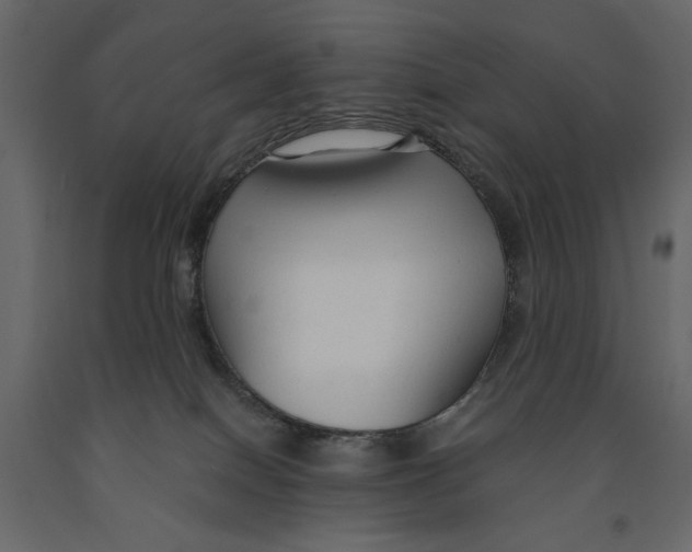 X0000090920086200708271033