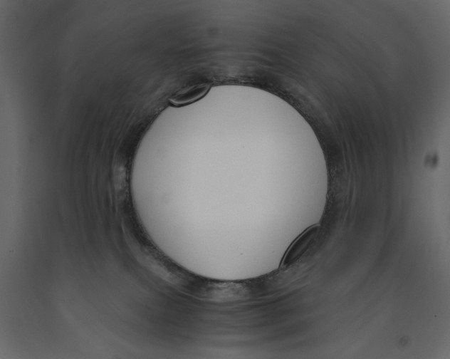 X0000090920087200708271033