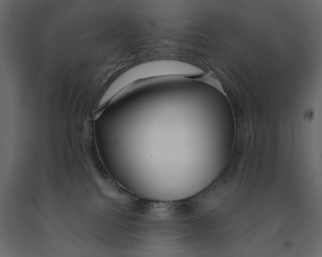 X0000090920088200708271033