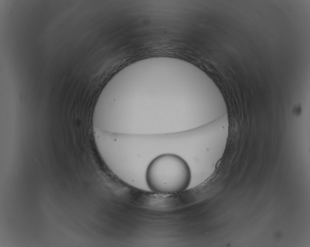 X0000090920090200708271033