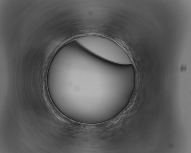 X0000090920097200708271032