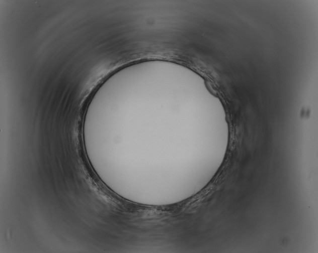 X0000090920098200708271032