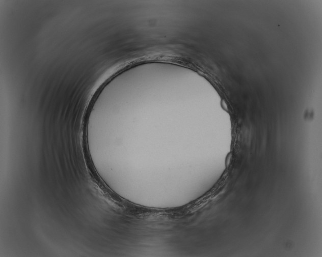 X0000090920100200708271032