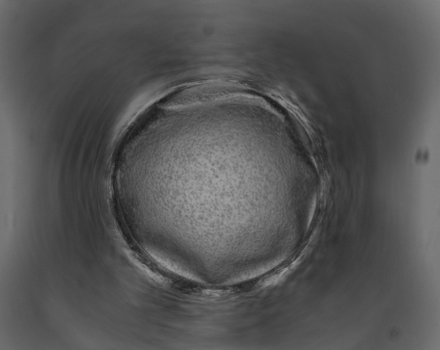 X0000090920101200708271032