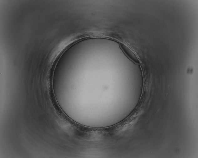 X0000090920103200708271032