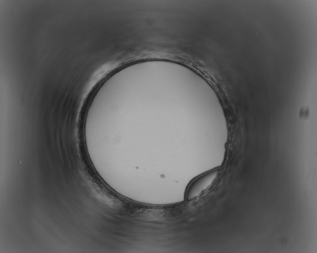 X0000090920104200708271032