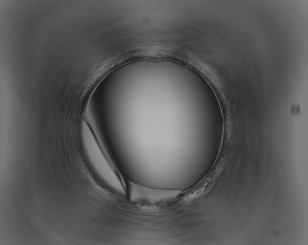 X0000090920105200708271032