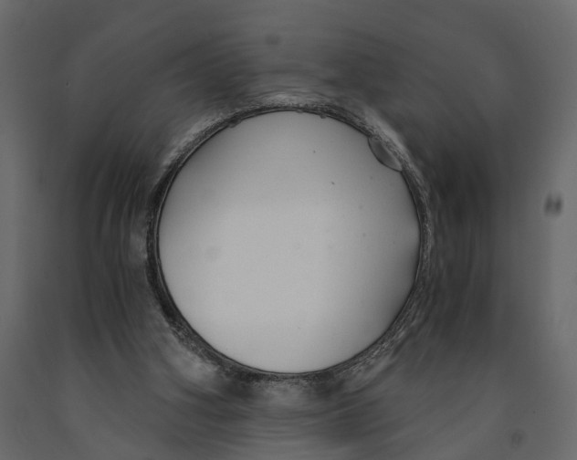 X0000090920106200708271032