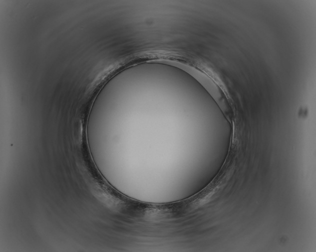 X0000090920109200708271032