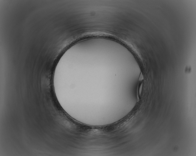 X0000090920111200708271032