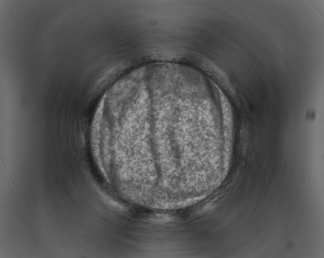 X0000090920114200708271032