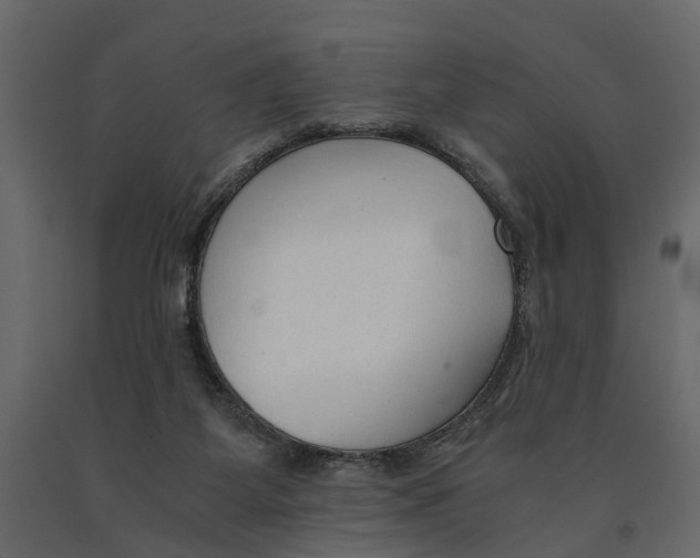 X0000090920115200708271032