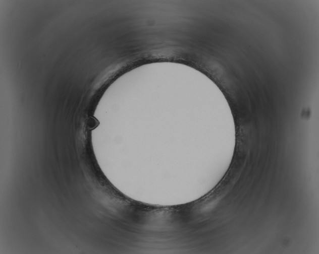 X0000090920116200708271032