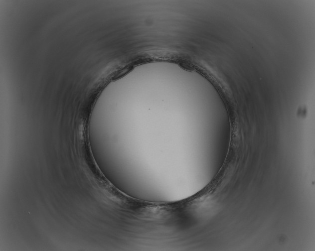 X0000090920117200708271032