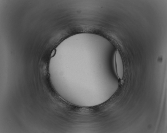 X0000090920123200708271032