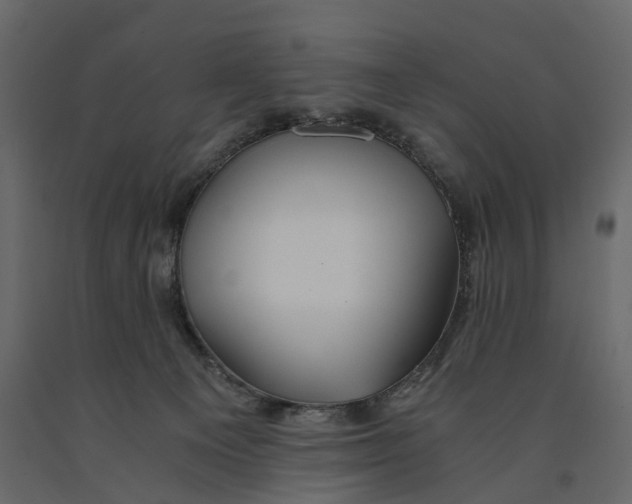 X0000090920129200708271032