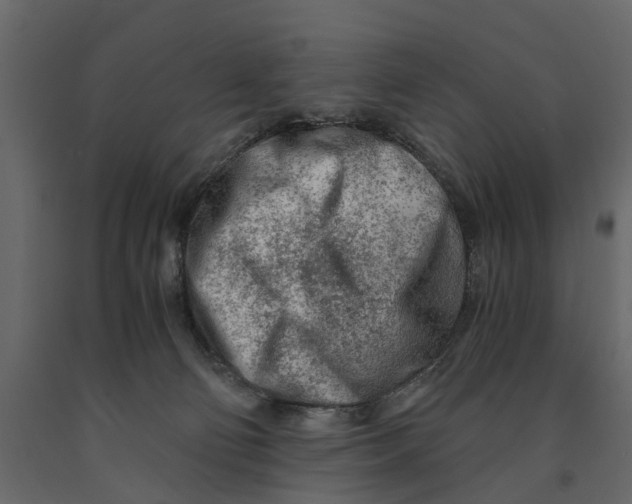 X0000090920130200708271032