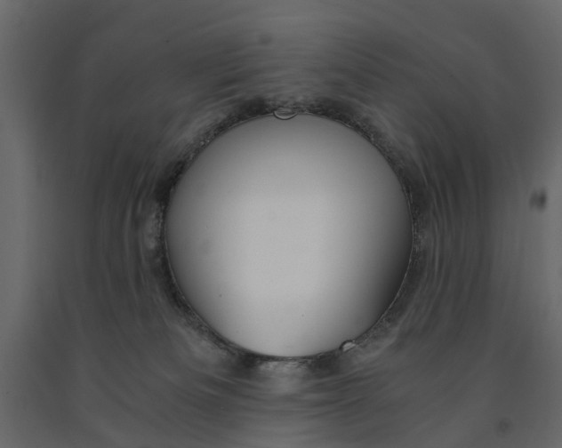 X0000090920133200708271032