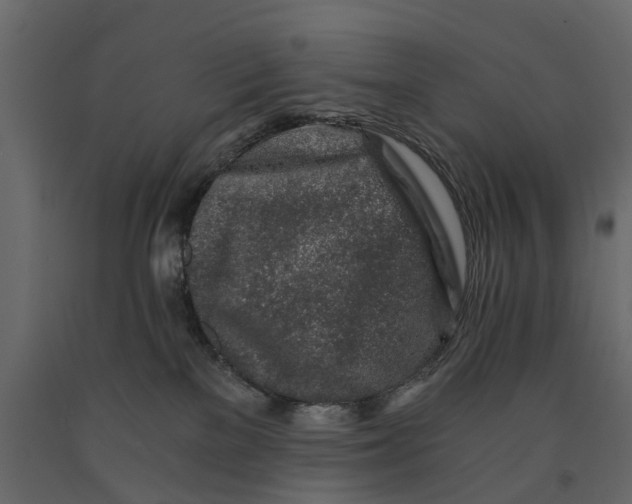 X0000090920137200708271032