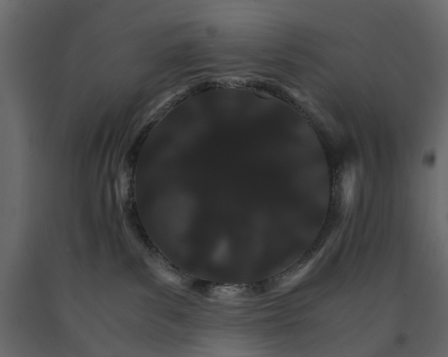 X0000090920139200708271032