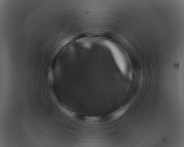 X0000090920143200708271032