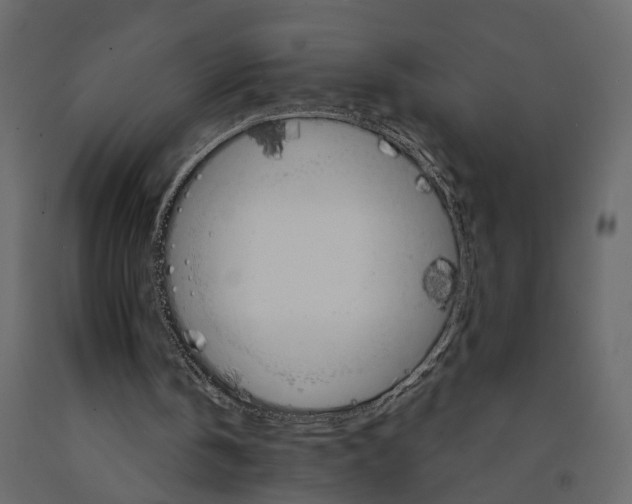 X0000090920146200708271031