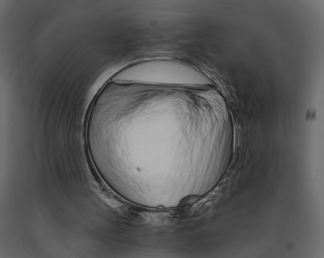 X0000090920147200708271031