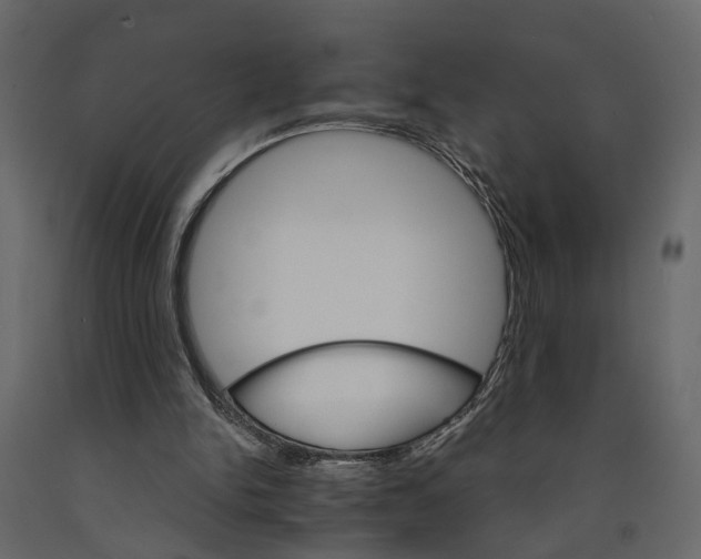 X0000090920150200708271031