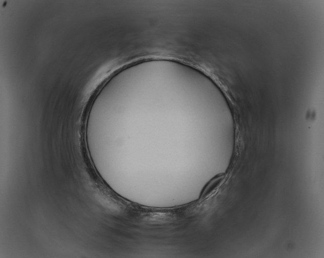 X0000090920151200708271031