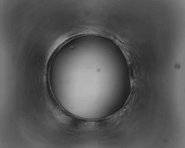 X0000090920152200708271031