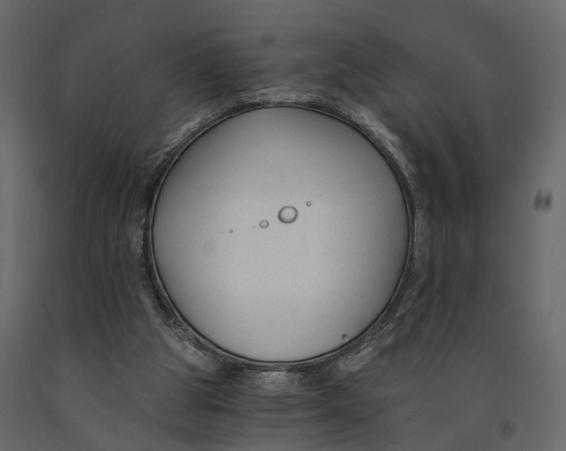 X0000090920153200708271031