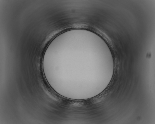 X0000090920155200708271031