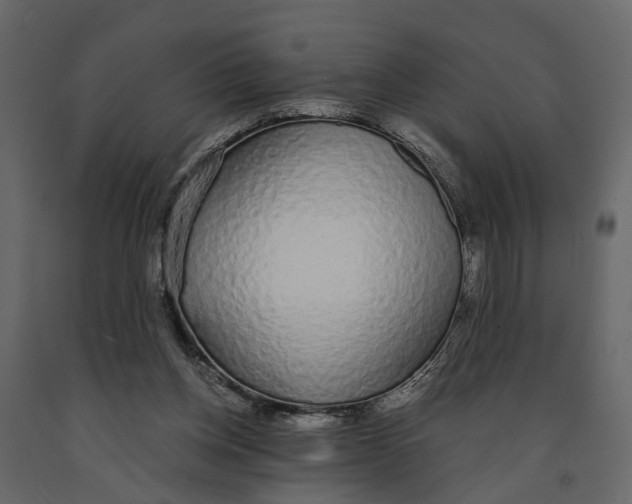 X0000090920158200708271031