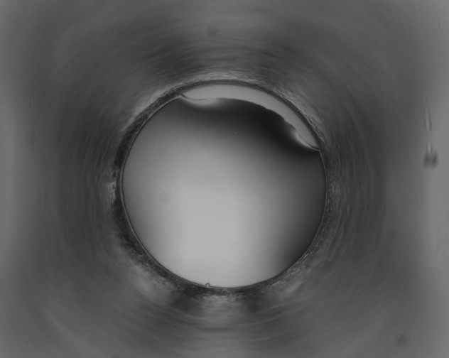 X0000090920160200708271031