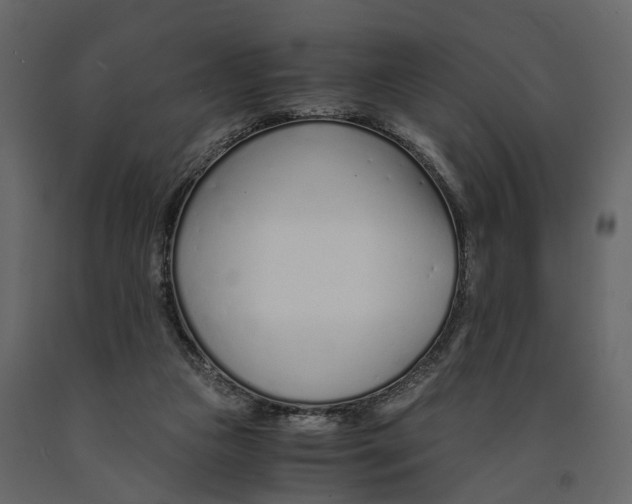 X0000090920161200708271031