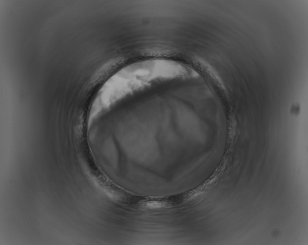 X0000090920163200708271031