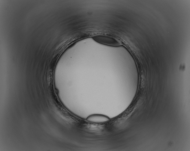 X0000090920165200708271031