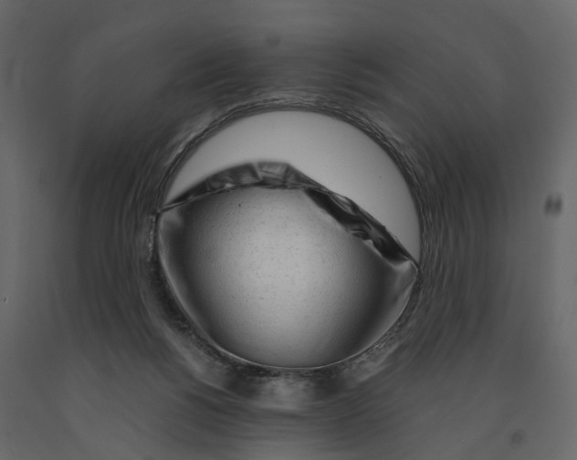 X0000090920168200708271031