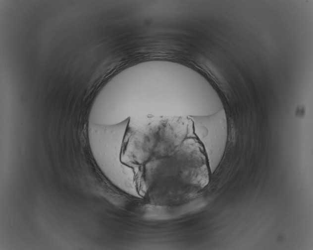 X0000090920169200708271031