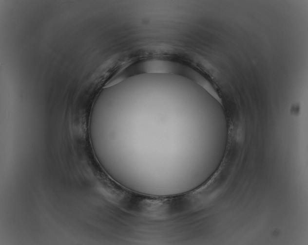 X0000090920170200708271031