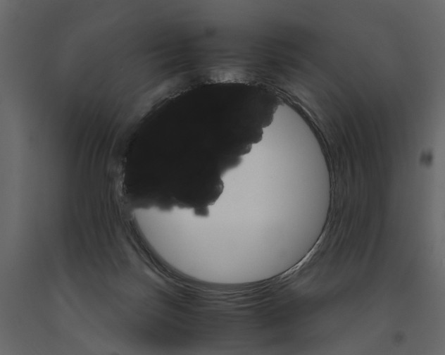 X0000090920171200708271031